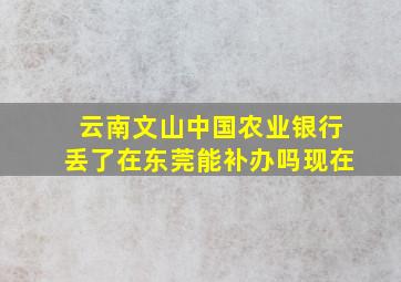 云南文山中国农业银行丢了在东莞能补办吗现在