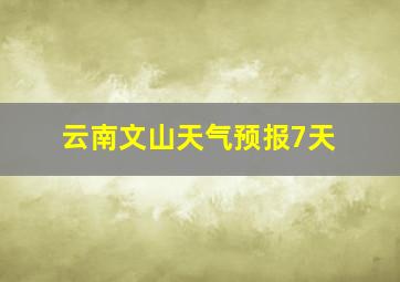 云南文山天气预报7天