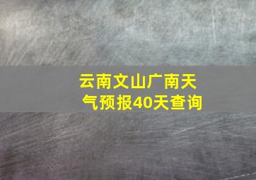 云南文山广南天气预报40天查询