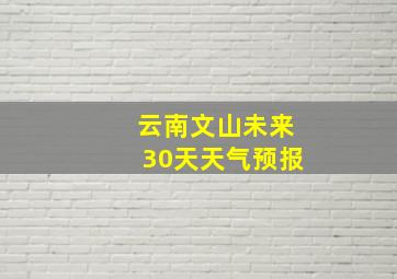 云南文山未来30天天气预报