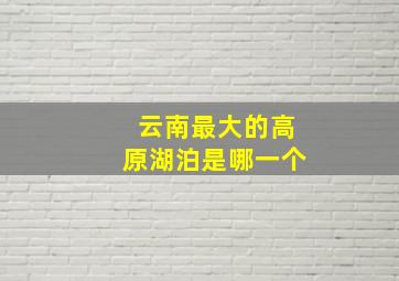 云南最大的高原湖泊是哪一个