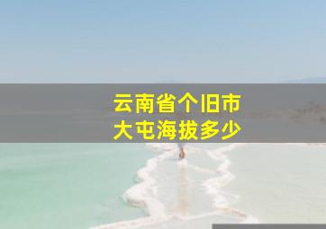 云南省个旧市大屯海拔多少