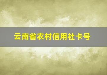 云南省农村信用社卡号