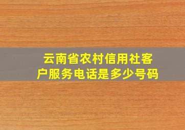 云南省农村信用社客户服务电话是多少号码