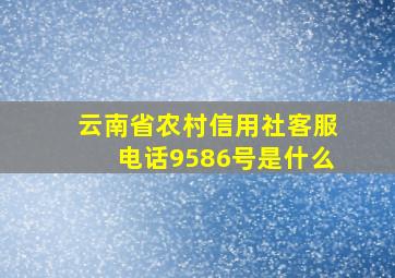 云南省农村信用社客服电话9586号是什么