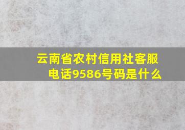 云南省农村信用社客服电话9586号码是什么