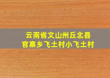 云南省文山州丘北县官寨乡飞土村小飞土村