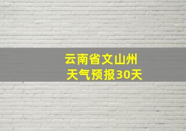 云南省文山州天气预报30天