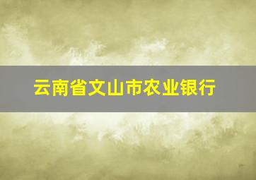 云南省文山市农业银行