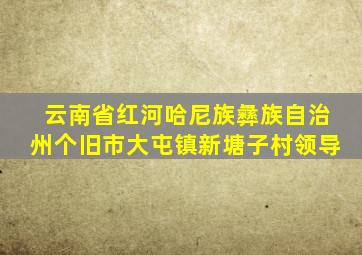 云南省红河哈尼族彝族自治州个旧市大屯镇新塘子村领导