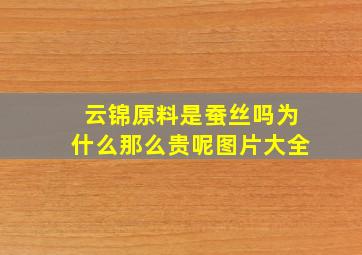 云锦原料是蚕丝吗为什么那么贵呢图片大全