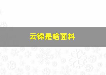 云锦是啥面料