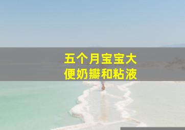 五个月宝宝大便奶瓣和粘液