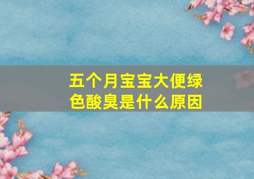 五个月宝宝大便绿色酸臭是什么原因