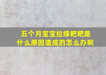 五个月宝宝拉绿粑粑是什么原因造成的怎么办啊