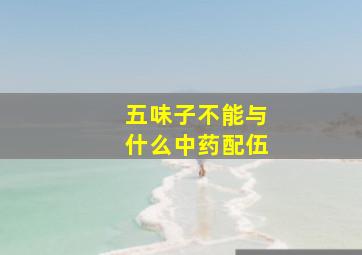 五味子不能与什么中药配伍