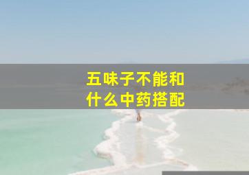 五味子不能和什么中药搭配