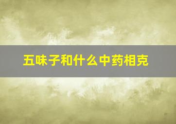 五味子和什么中药相克