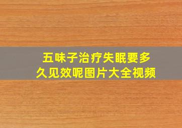 五味子治疗失眠要多久见效呢图片大全视频