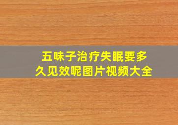 五味子治疗失眠要多久见效呢图片视频大全