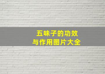 五味子的功效与作用图片大全