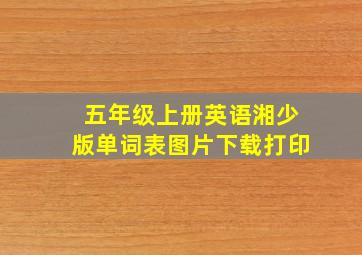 五年级上册英语湘少版单词表图片下载打印