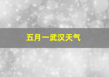 五月一武汉天气