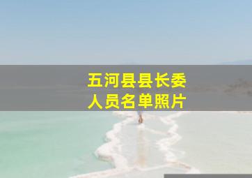 五河县县长委人员名单照片