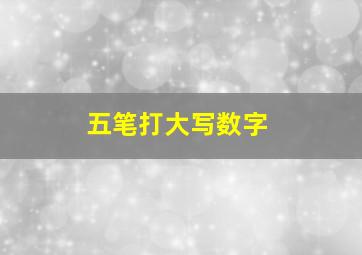 五笔打大写数字