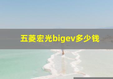 五菱宏光bigev多少钱