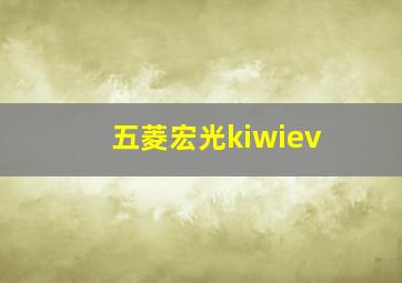 五菱宏光kiwiev