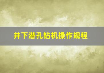 井下潜孔钻机操作规程