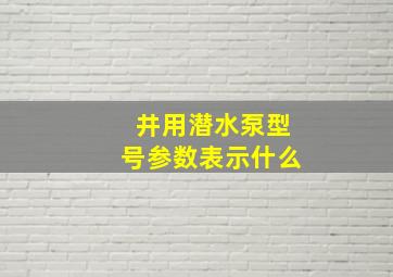 井用潜水泵型号参数表示什么