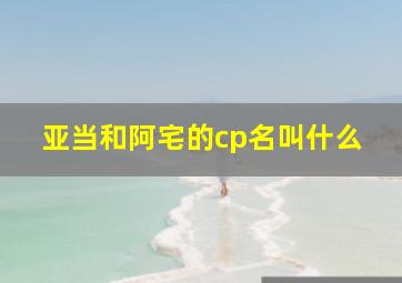 亚当和阿宅的cp名叫什么