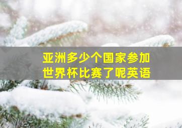 亚洲多少个国家参加世界杯比赛了呢英语