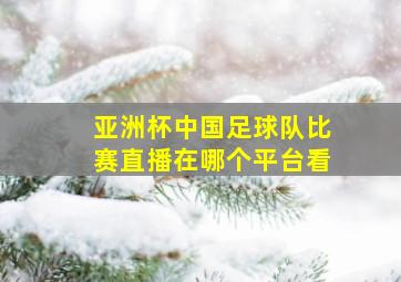 亚洲杯中国足球队比赛直播在哪个平台看