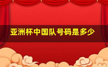 亚洲杯中国队号码是多少