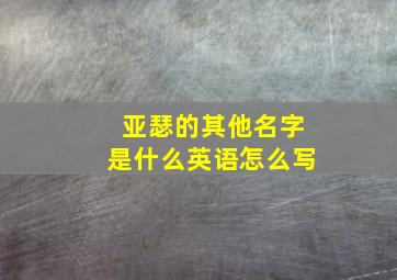 亚瑟的其他名字是什么英语怎么写