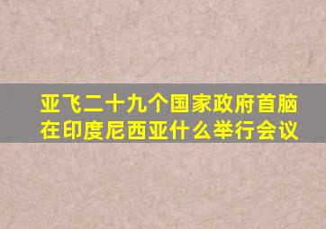 亚飞二十九个国家政府首脑在印度尼西亚什么举行会议