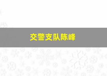 交警支队陈峰