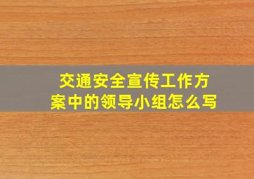 交通安全宣传工作方案中的领导小组怎么写