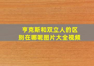 亨克斯和双立人的区别在哪呢图片大全视频