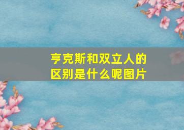 亨克斯和双立人的区别是什么呢图片