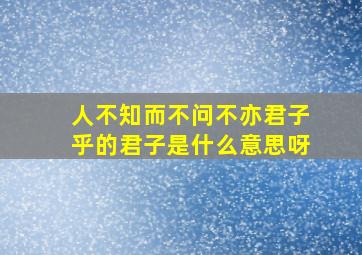 人不知而不问不亦君子乎的君子是什么意思呀