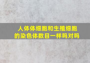 人体体细胞和生殖细胞的染色体数目一样吗对吗