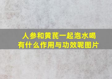 人参和黄芪一起泡水喝有什么作用与功效呢图片