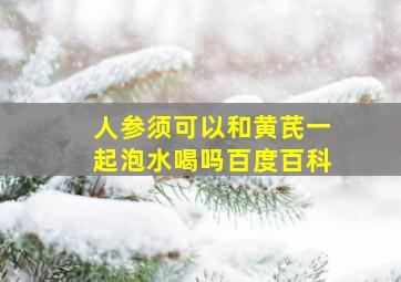 人参须可以和黄芪一起泡水喝吗百度百科