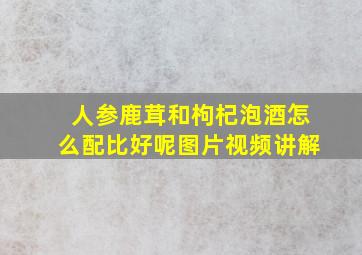 人参鹿茸和枸杞泡酒怎么配比好呢图片视频讲解