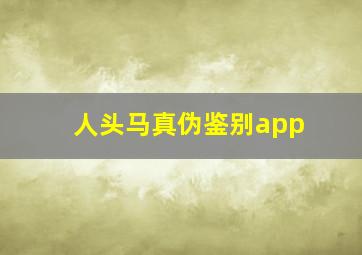 人头马真伪鉴别app