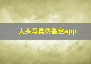 人头马真伪鉴定app